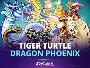 Tiger Turtle Dragon Phoenix